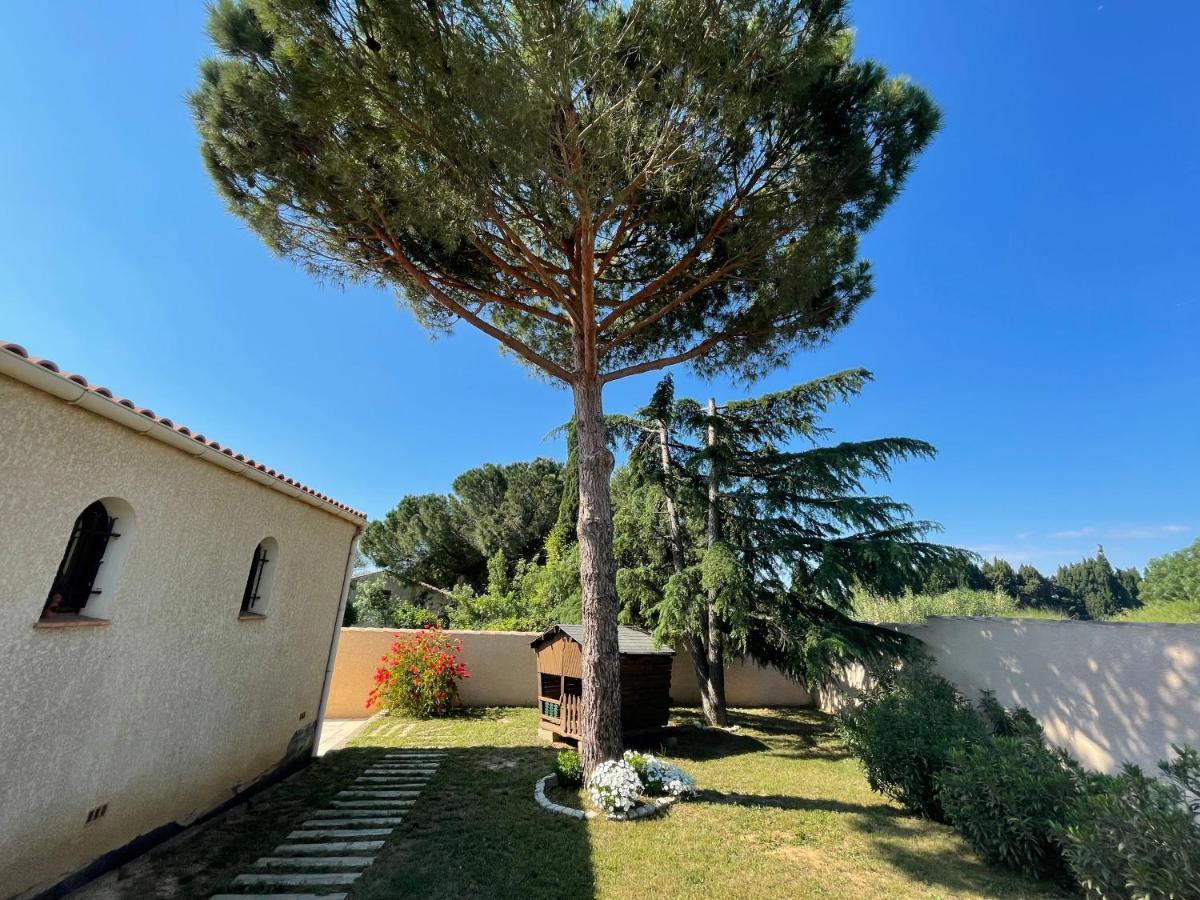 Annexe Des Pins - Studio Gite Avec Piscine & Climatisation Villeneuve-lès-Béziers エクステリア 写真